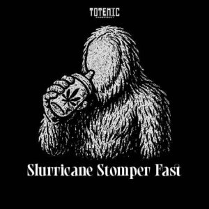 Slurricane Stomper Fast Fem Cannabis Seeds (5+1)