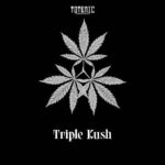 Triple Kush Feminized Cannabis Seeds (5+1)