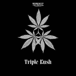 Triple Kush Feminized Cannabis Seeds (5+1)