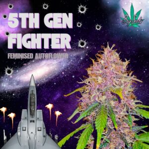 5th Gen Fighter Fem Auto