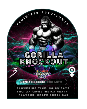 Gorilla Knockout Fem Auto - 3 Seeds
