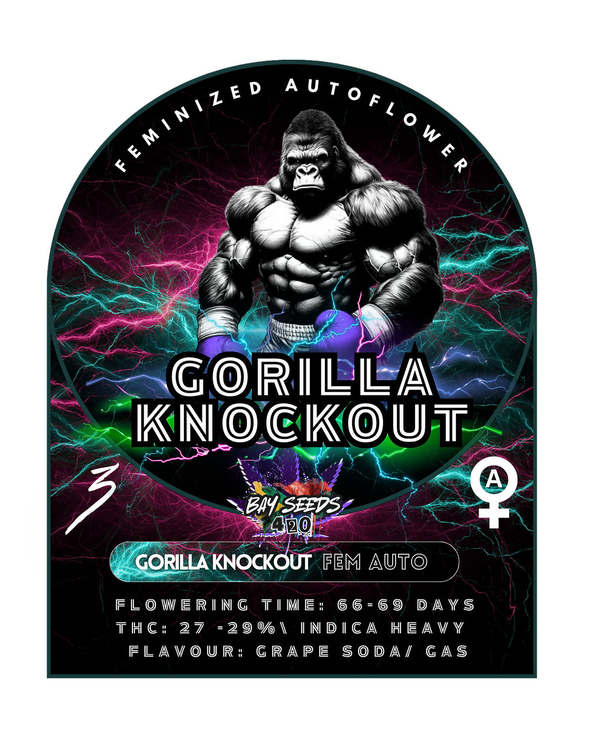 Gorilla Knockout Fem Auto - 3 Seeds 1 Gorilla Knockout Fem Auto - 3 Seeds