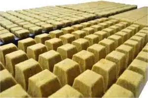 Cultiwool AO rockwool propagation cubes sheet of 84
